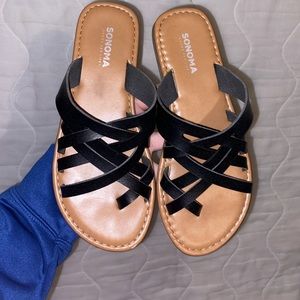 Sonoma Sandler’s ❤️